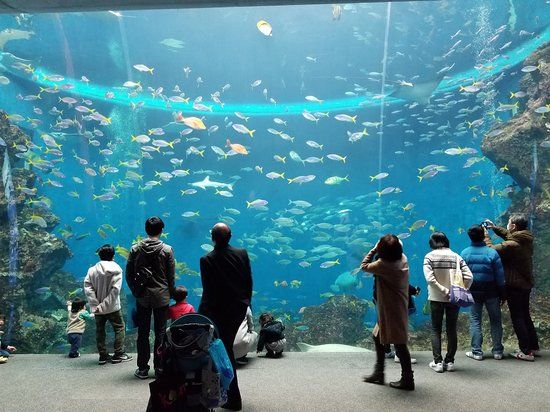 Shinagawa Aquarium